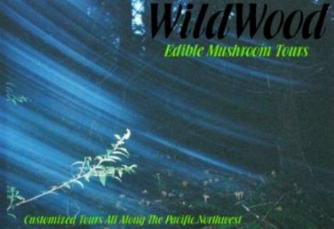 WildWood Edible Mushroom Tours